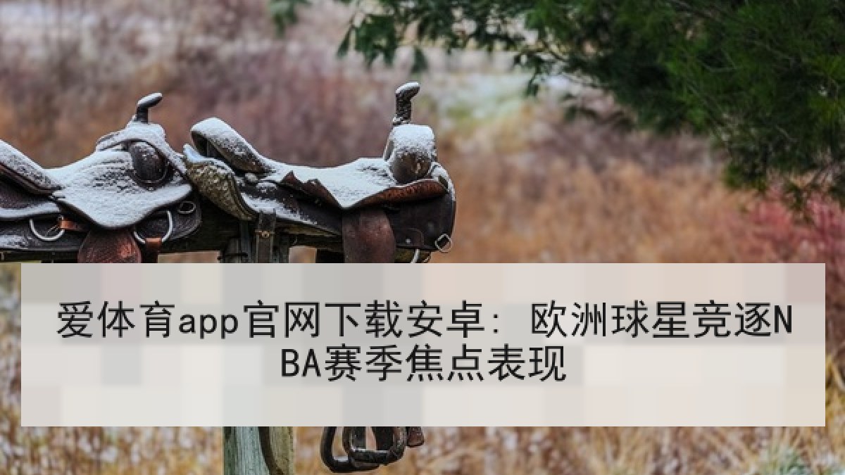 爱体育app官网下载安卓: 欧洲球星竞逐NBA赛季焦点表现